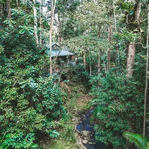 Narrows Escape Rainforest Retreat Lodge